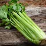 Uzgoj sadnica celera